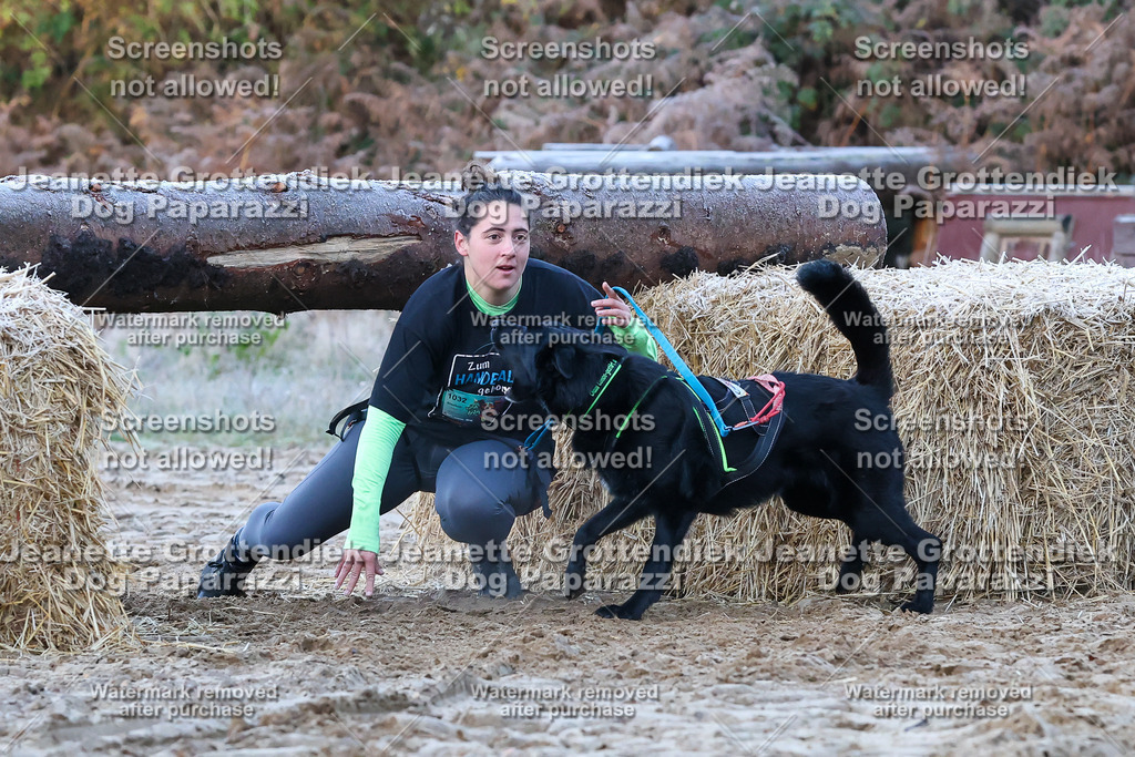 Dog Paparazzi - Strongdog 10-25-213 | Dog Paparazzi Jeanette Grottendiek Fotografie & Videografie - Realisiert mit Pictrs.com