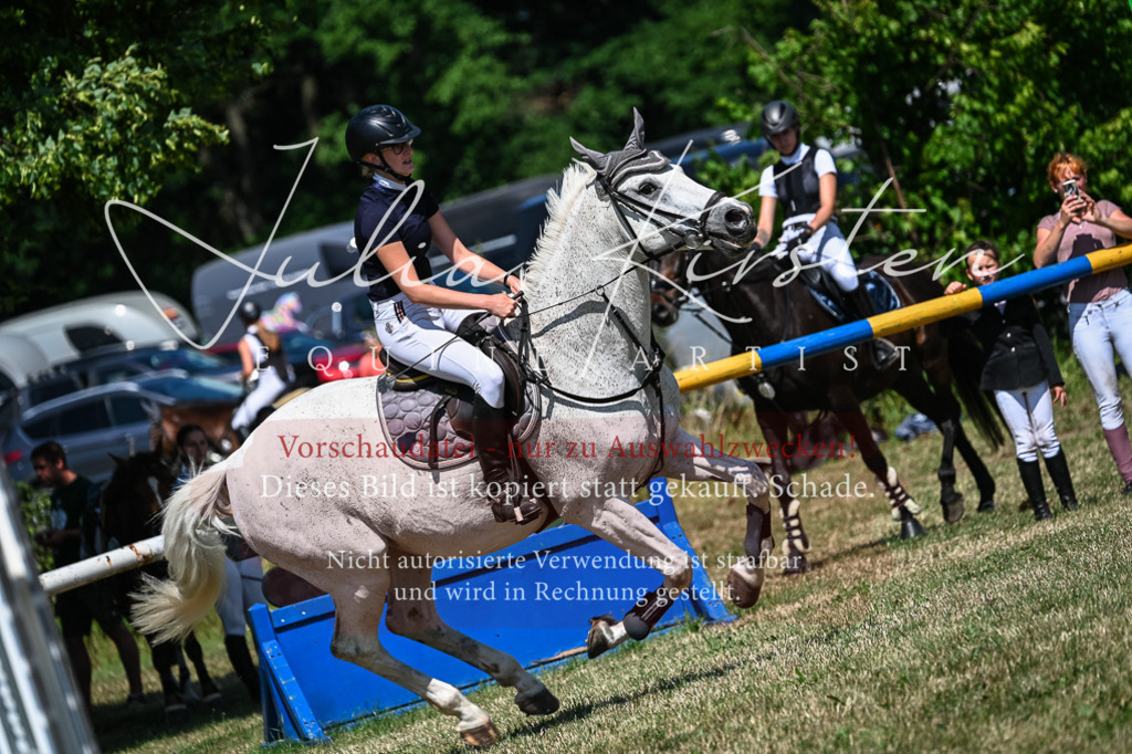 DSC_1104 | Pferde- und Turnierfotografie in Westsachsen. Pferdeportraits, Auftragszeichnungen und intuitive Kunst.