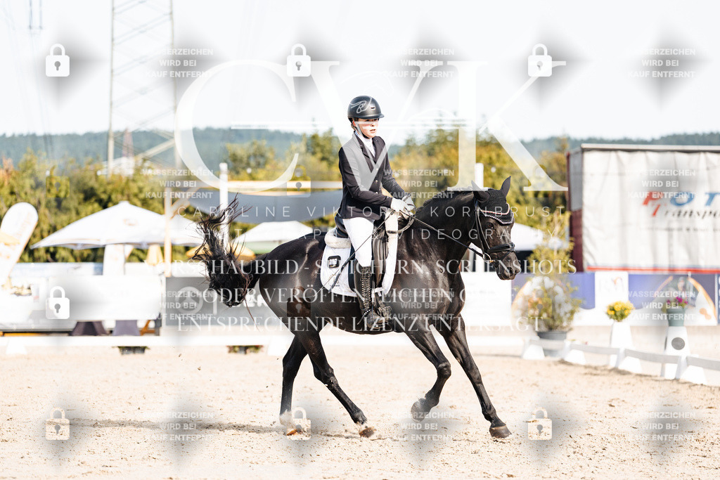 CK905037 | Turnierfotografie Pferdefotografie Trier Rheinland-Pfalz Pferdesport Reitsport Tierfotografie Sportfotografie Pferdevideo Pferdevideografie Equestrianvideography equestrianphotography  - Realisiert mit Pictrs.com