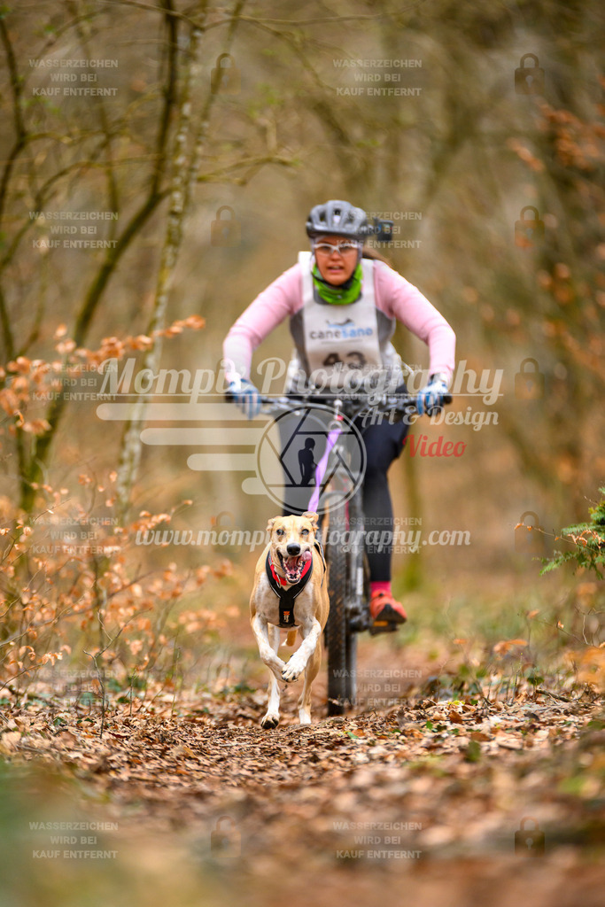 MompixPhotography_ReiatRennen2024_SO_Bike1H-80 | PayLife