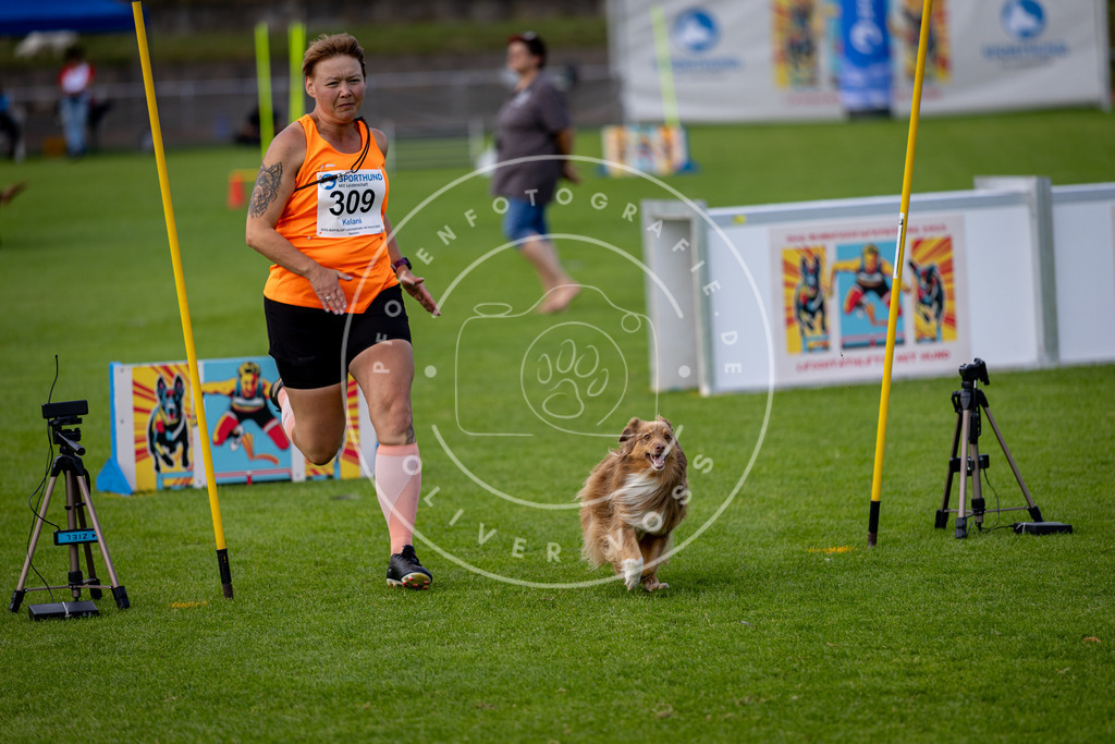 Pfotenfotografie_DV3A3294 | Hundefotografie, Tierfotograf, Pfotenfotografie, Fotoshooting Hund, Hunde Portrait, Hundesport, Hundeportraits, Heideshooting, Hunde, Sportfotograf, Hundefotograf, Turnierhundsport, THS,  - Realisiert mit Pictrs.com
