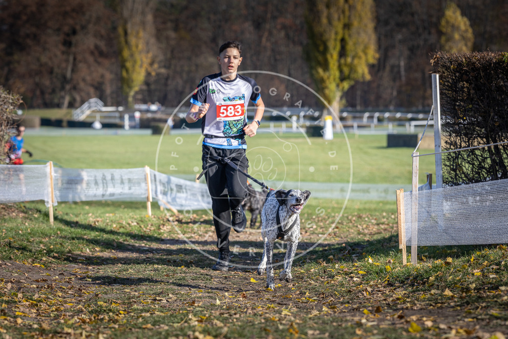 CaniXpix_DV3A9061 | Hundefotografie, Tierfotograf, Pfotenfotografie, Fotoshooting Hund, Hunde Portrait, Hundesport, Hundeportraits, Heideshooting, Hunde, Sportfotograf, Hundefotograf, Turnierhundsport, THS,  - Realisiert mit Pictrs.com