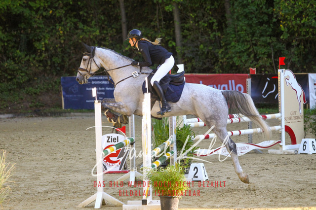 DKP42849 | Turniersportfotografie; Pferdefotografie; Dressurfotografie