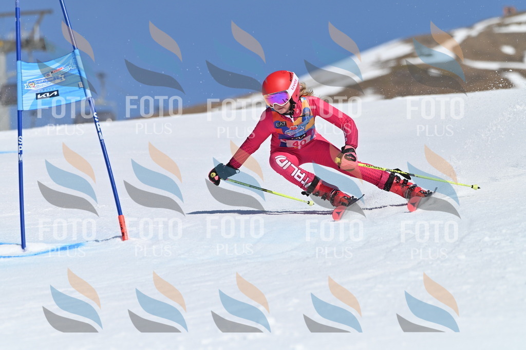 BGV_8353 | holidayphoto