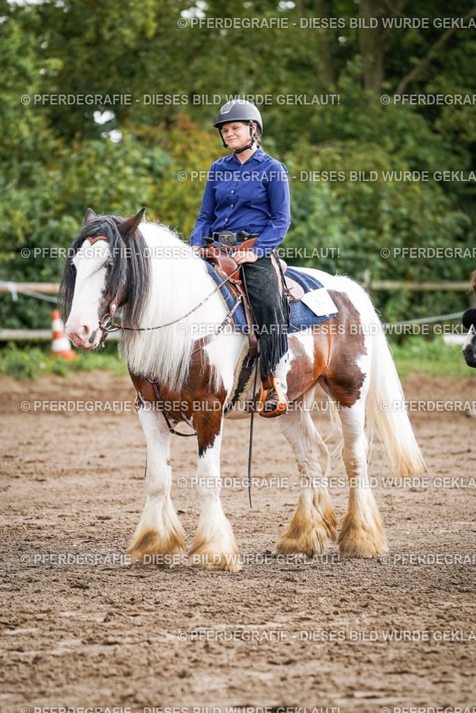 DSC07858 | Pferdegrafie