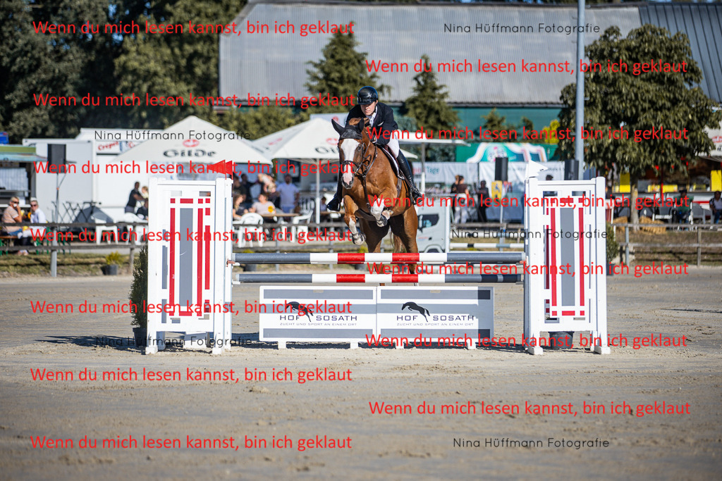 BK1A5968 | Turnierbilder Turnierfotos Nina Hüffmann Turnierfotografie Pferdefotografie Tierzeichnung Haustierzeichnung Pferdezeichnung Hundezeichnung Videograf  - Realisiert mit Pictrs.com