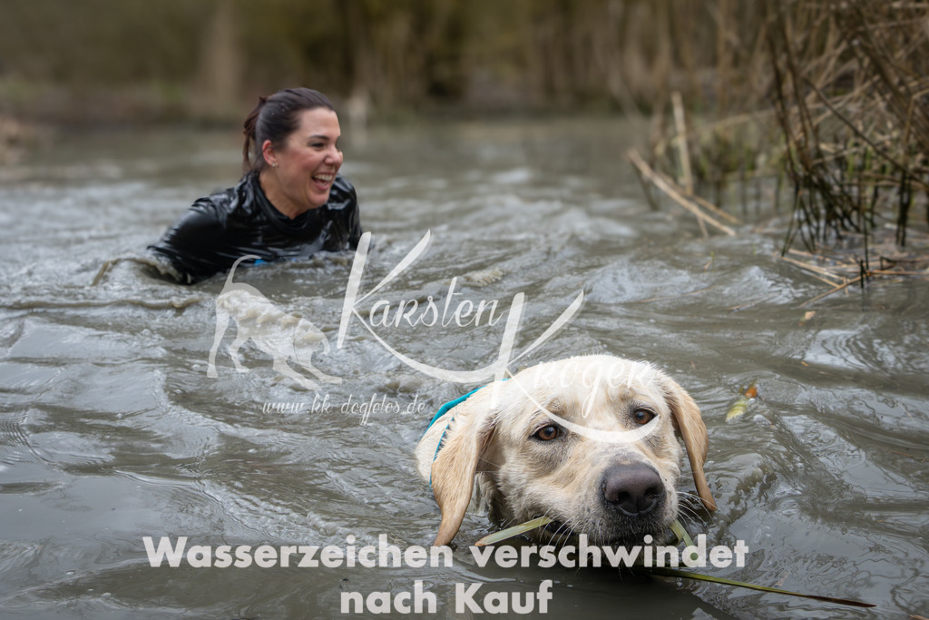 1052_ZZ93070 | kk-dogfotos