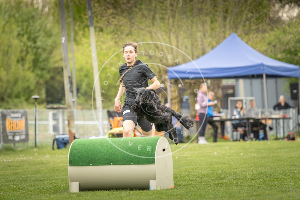 Pfotenfotografie_DV3A1235 | Hundefotografie, Tierfotograf, Pfotenfotografie, Fotoshooting Hund, Hunde Portrait, Hundesport, Hundeportraits, Heideshooting, Hunde, Sportfotograf, Hundefotograf, Turnierhundsport, THS,  - Realisiert mit Pictrs.com