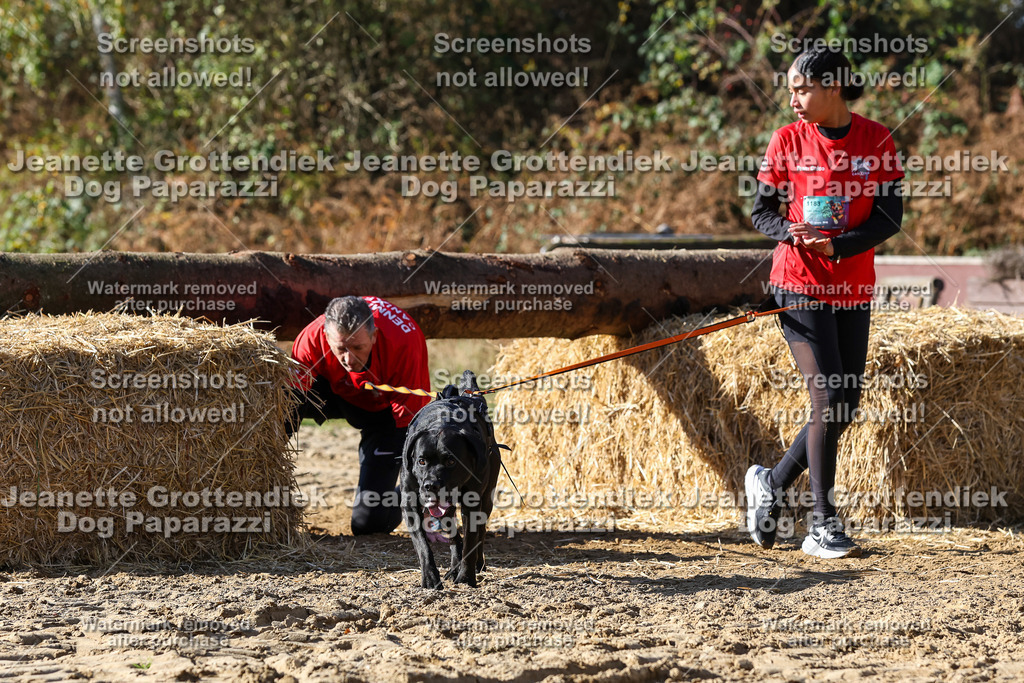 Dog Paparazzi - Strongdog 10-25-4702 | Dog Paparazzi Jeanette Grottendiek Fotografie & Videografie - Realisiert mit Pictrs.com