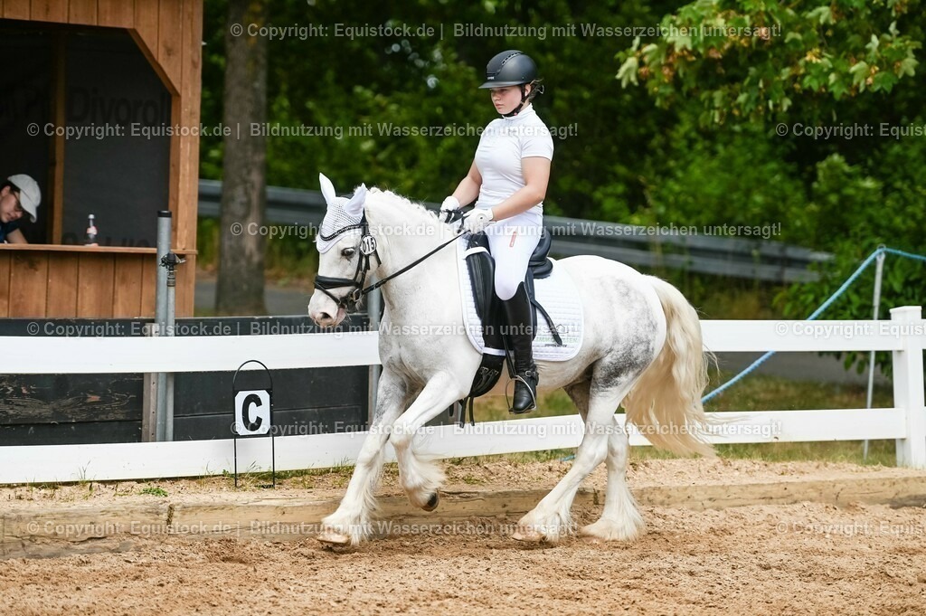 20230715_05_Dressurprüfung Kl.A++_0277 | equistock