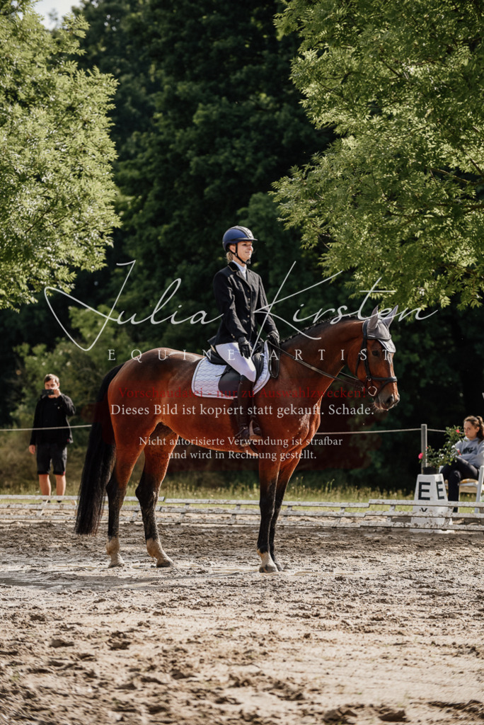 DSC_9083 | Pferde- und Turnierfotografie in Westsachsen. Pferdeportraits, Auftragszeichnungen und intuitive Kunst.