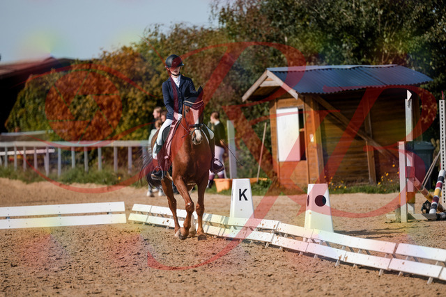 2026_10_03_Siefer-Hof_123438_Z63_52917491 | Professionelle Reitsport-, Turnier- und Eventfotografie von Robert Broda. Galerien mit ausgewählten und bearbeiteten Bildern direkt online ansehen und bestellen.