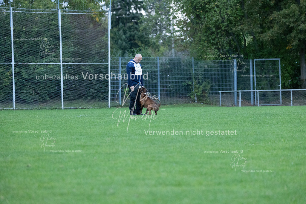 _16A4415 | Einzigartige Fotos von Hunden & Menschen –Actionfotos, Portraits, Vereinsaufnahmen & Paarshootings – authentisch, lebendig & mit Herz.