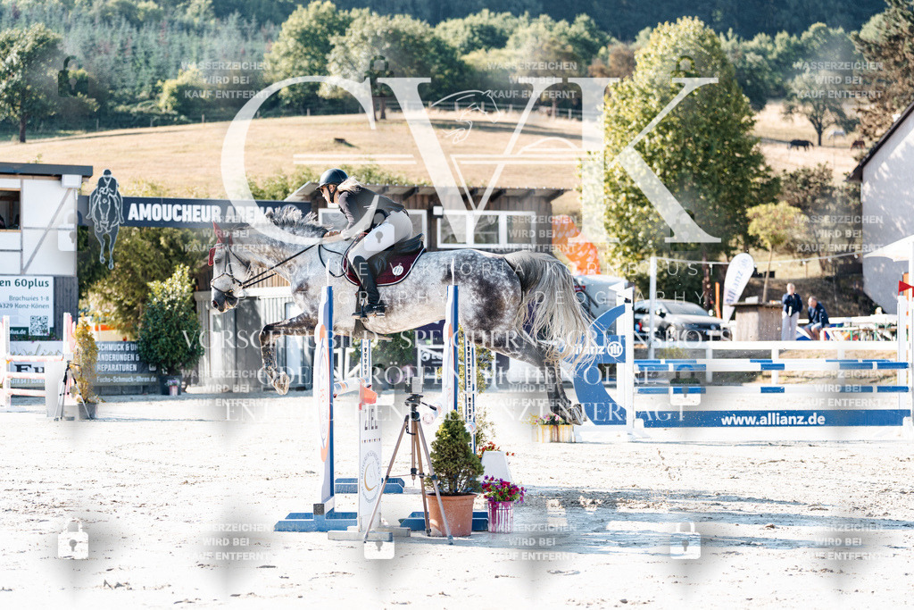 CK907484 | Turnierfotografie Pferdefotografie Trier Rheinland-Pfalz Pferdesport Reitsport Tierfotografie Sportfotografie Pferdevideo Pferdevideografie Equestrianvideography equestrianphotography  - Realisiert mit Pictrs.com