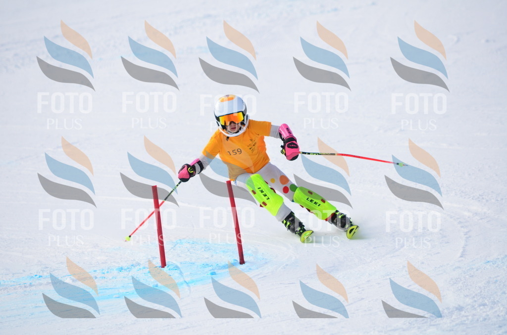 C7822 | holidayphoto