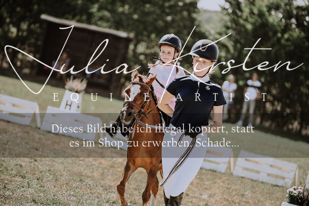 DSC_9057 | Pferde- und Turnierfotografie in Westsachsen. Pferdeportraits, Auftragszeichnungen und intuitive Kunst.