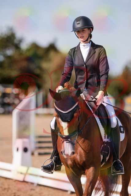 2026_10_03_Siefer-Hof_132735_Z81_82190360 | Professionelle Reitsport-, Turnier- und Eventfotografie von Robert Broda. Galerien mit ausgewählten und bearbeiteten Bildern direkt online ansehen und bestellen.