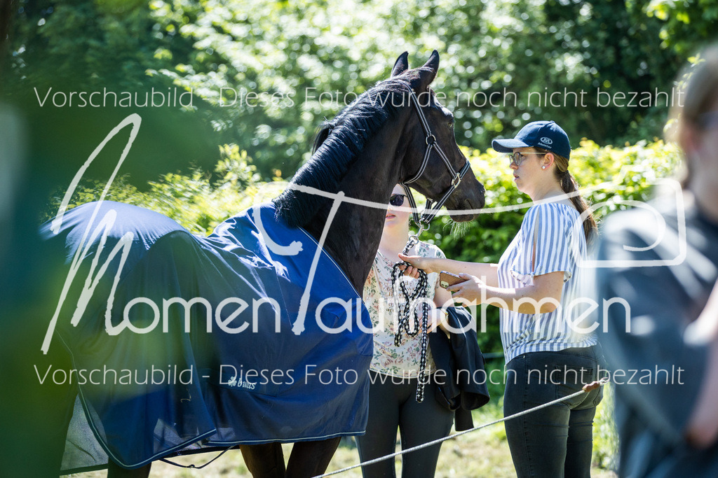 HH-Randmomente-018 | MomenTaufnahmen Pferdesportfotos