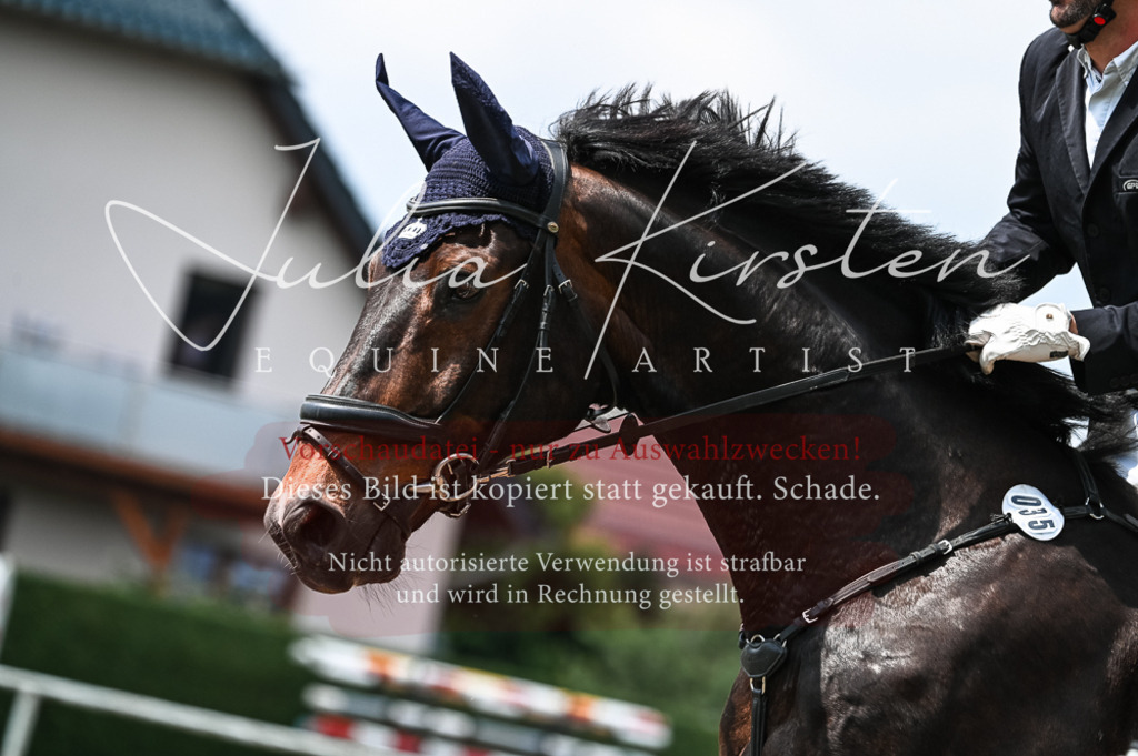 DSC_8912 | Pferde- und Turnierfotografie in Westsachsen. Pferdeportraits, Auftragszeichnungen und intuitive Kunst.