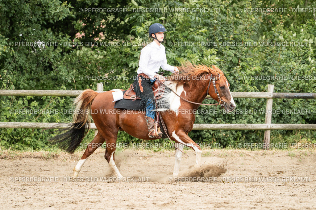 DSC03981 | Pferdegrafie