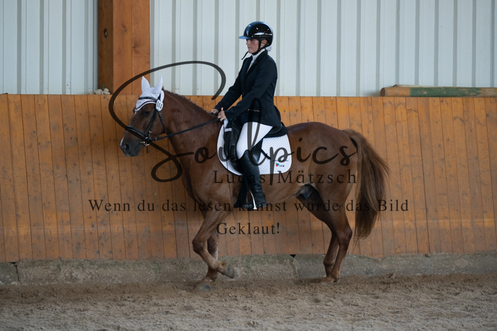 A7V02101 | Turnier/Reitfotograf
