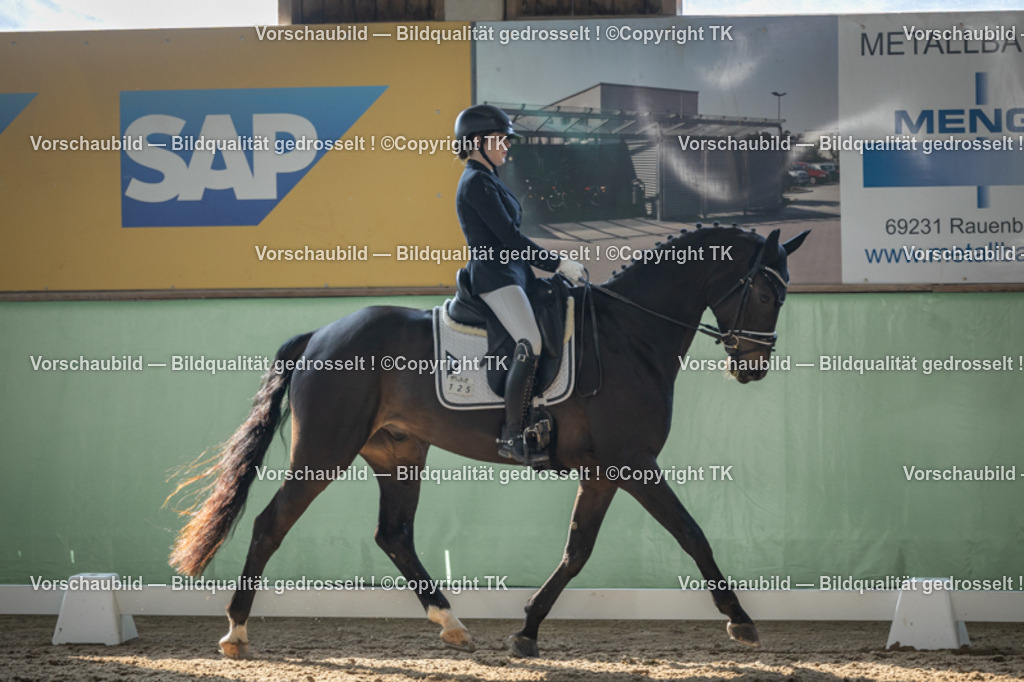 _D5A8464 | Emotionale Pferde- & People-Fotografie rund um Heidelberg, Leimen & Umgebung. Natürliche Fotos von Pferd, Mensch & Familie. Jetzt Termin sichern!