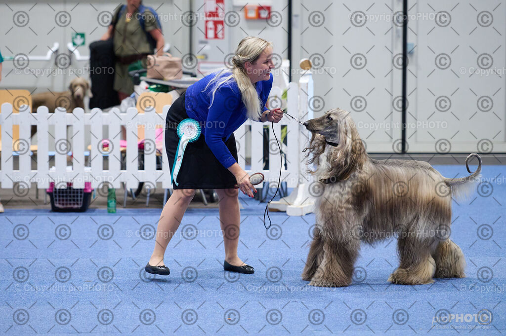 202406_ÖKV-IHA-Tulln24_DSC_3263 | proPHOTO - Realisiert mit Pictrs.com