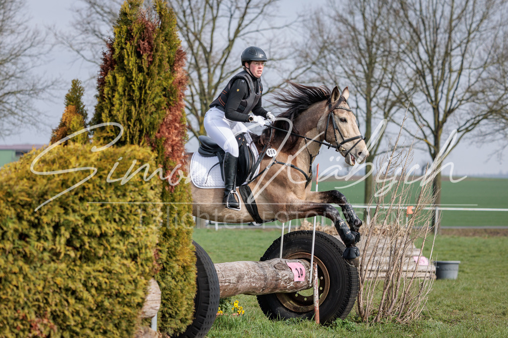 20260329-_3LI3636 | Tierfotografie Pferde, Hunde, Katzen, Haustiere.
Turnierfotografie Reitturniere, Reiten, Springreiten, Dressur in Hanau, dem Main-Kinzig-Kreis und dem Rhein-Main- Gebiet um Frankfurt