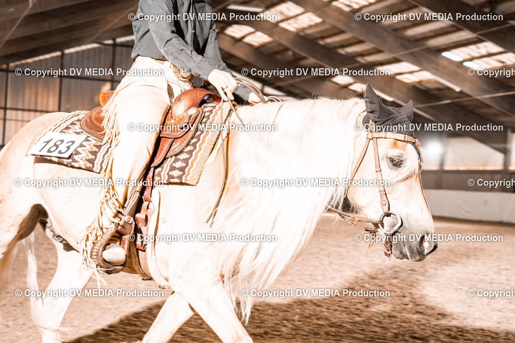 ZH100549 | dv-media-shop - Realisiert mit Pictrs.com