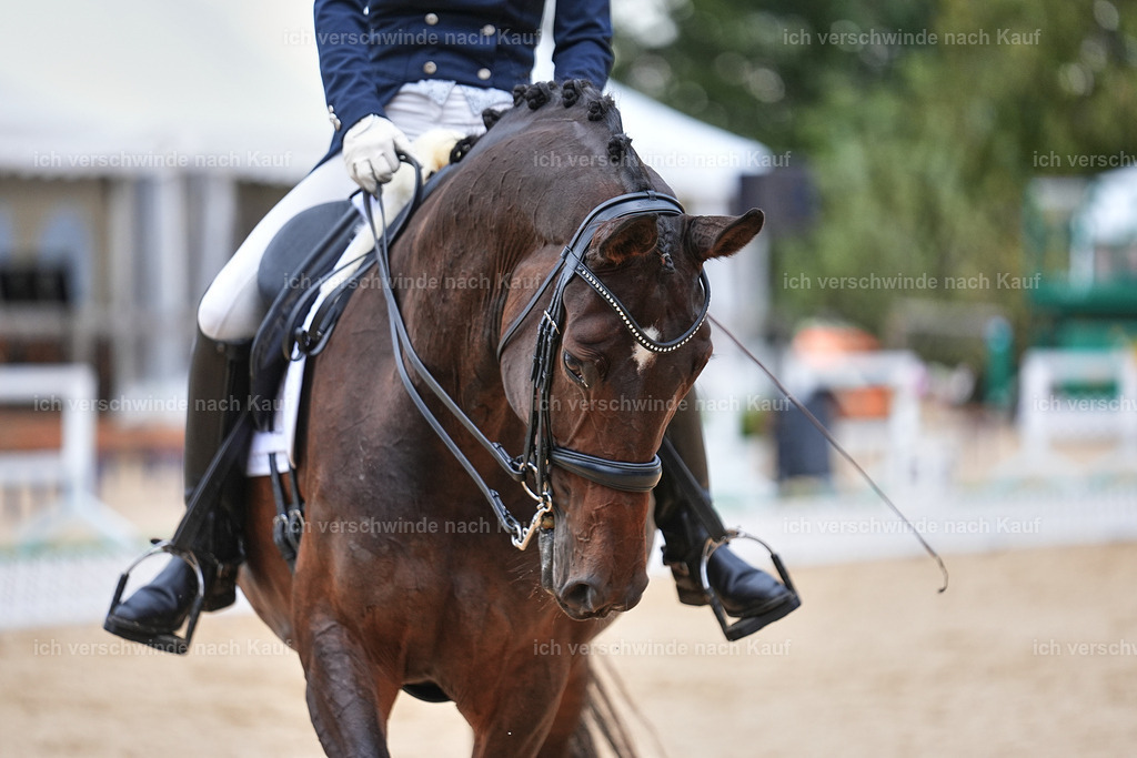 8_1-087-Klasse S_  -Marixx-4124 | working equitationturnier fotograf videograf stoibphotography marixx film working equitation deutschland reitsport turnierfotografie eventfotografie equestrian events