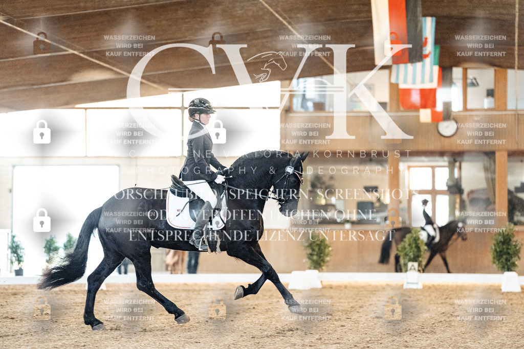 CK906506 | Turnierfotografie Pferdefotografie Trier Rheinland-Pfalz Pferdesport Reitsport Tierfotografie Sportfotografie Pferdevideo Pferdevideografie Equestrianvideography equestrianphotography  - Realisiert mit Pictrs.com