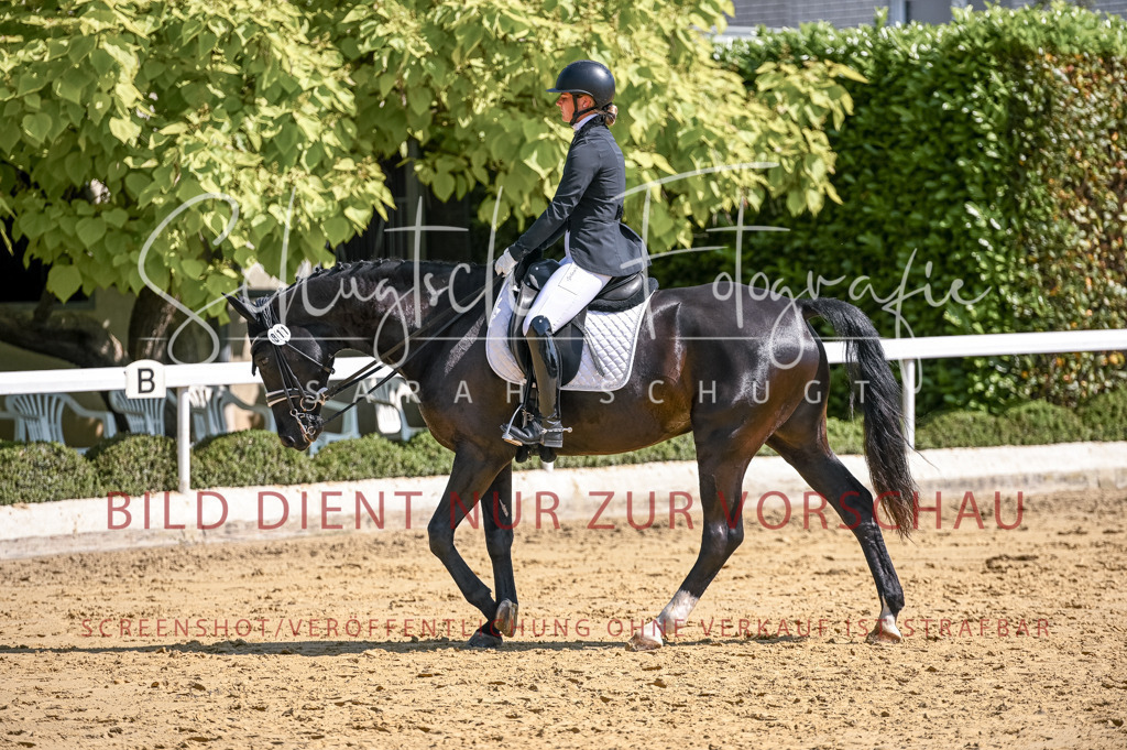 Schugtsche-Aluta25-52.Dressurprf.M2Kand-481 | Schugtsche Fotografie - Realisiert mit Pictrs.com