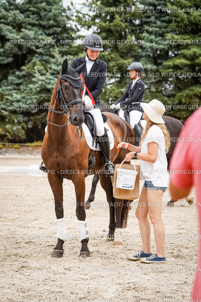 DSC04773 | Pferdegrafie