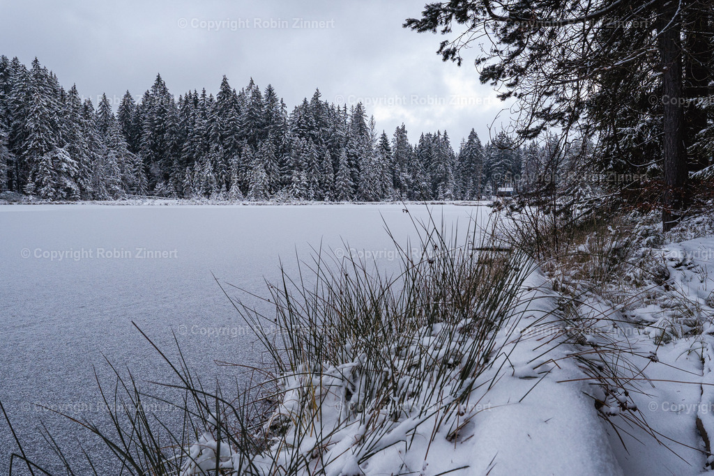 Fichtelsee_Winter00027 | Robin Zinnert - Realisiert mit Pictrs.com