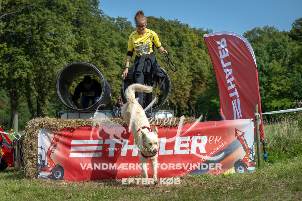 1333_ZZ93810 | kk-dogfotos