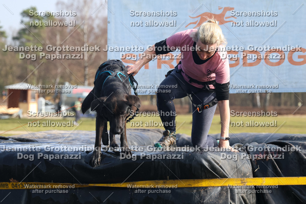 Dog Paparazzi - Strongdog North Mrz26-1771 | Dog Paparazzi Jeanette Grottendiek Fotografie & Videografie - Realisiert mit Pictrs.com