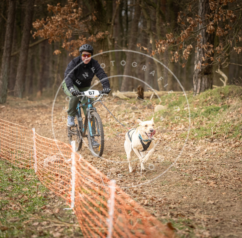 Pfotenfotografie_DV3A3424 | Hundefotografie, Tierfotograf, Pfotenfotografie, Fotoshooting Hund, Hunde Portrait, Hundesport, Hundeportraits, Heideshooting, Hunde, Sportfotograf, Hundefotograf, Turnierhundsport, THS,  - Realisiert mit Pictrs.com