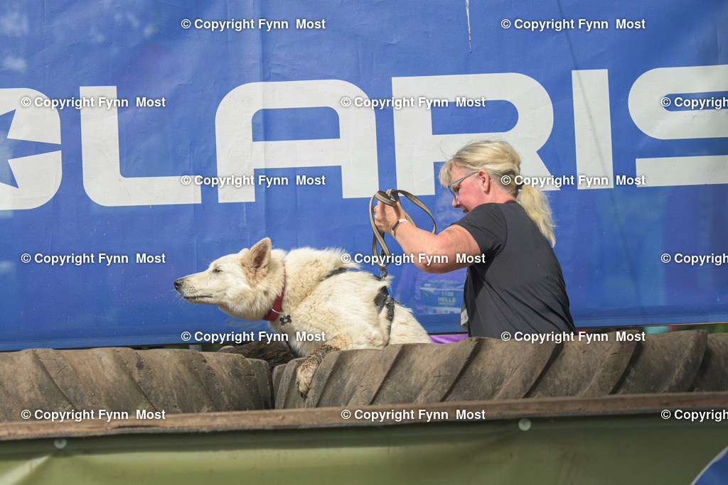 DSC_0906 | Hallo und herzlich Willkommen auf meiner Shop-Seite Fynn Most.

Ich wünsche Dir viel Spaß beim stöbern durch die Bilder, wenn Du Fragen hast oder Bilder vermisst, kannst du mir gerne eine Nachricht schreiben. - Realisiert mit Pictrs.com