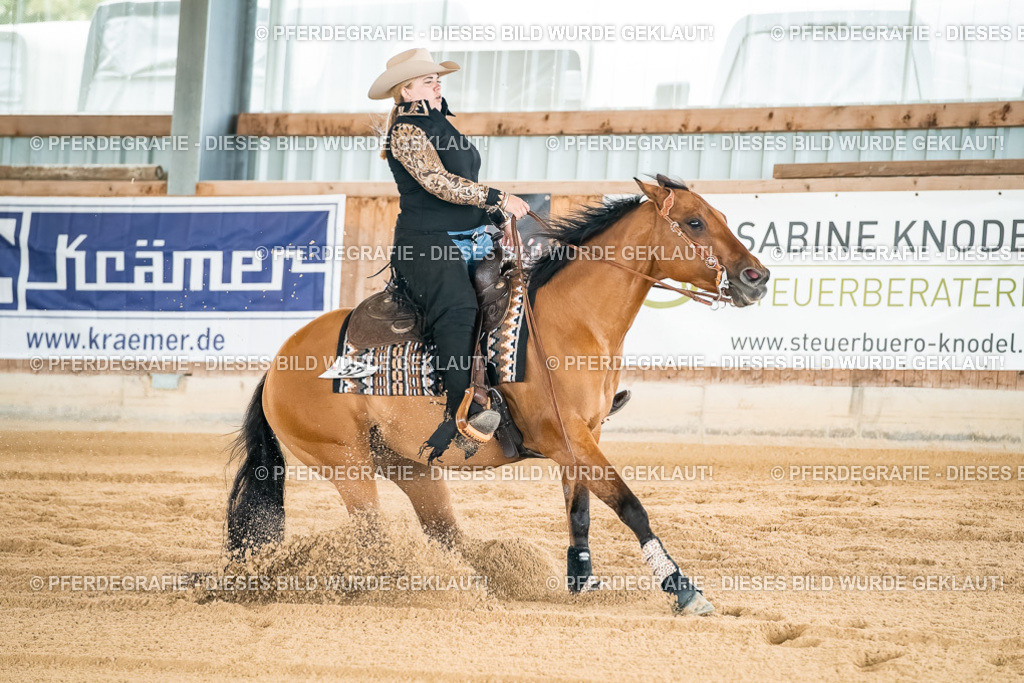 DSC03066 | Pferdegrafie