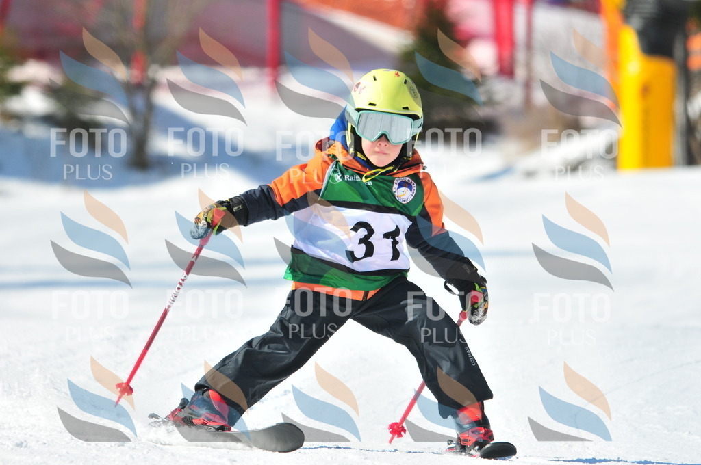 C2637 | holidayphoto