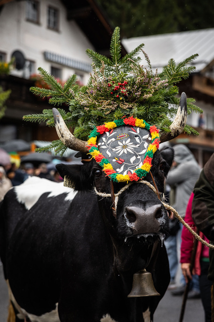 Rupertifest_Flachau_2k25_Webauflösung-283 | Bildershop Chri Fischbacher - Realisiert mit Pictrs.com