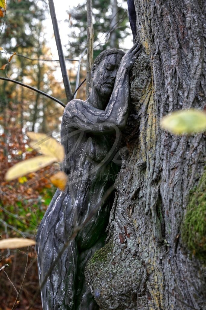 NatureArt-KLÜTLAUB_3193b | Frieden mit dem Herbststamm | #013 | Modell: Tatjana Heinz | Foto: Tschiponnique Skupin - Realisiert mit Pictrs.com