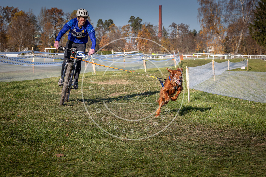 CaniXpix_0L8A6414 | Hundefotografie, Tierfotograf, Pfotenfotografie, Fotoshooting Hund, Hunde Portrait, Hundesport, Hundeportraits, Heideshooting, Hunde, Sportfotograf, Hundefotograf, Turnierhundsport, THS,  - Realisiert mit Pictrs.com