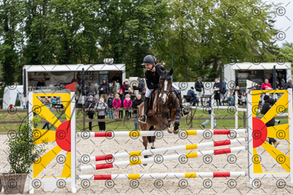 KPT_8959 | andre_photographic