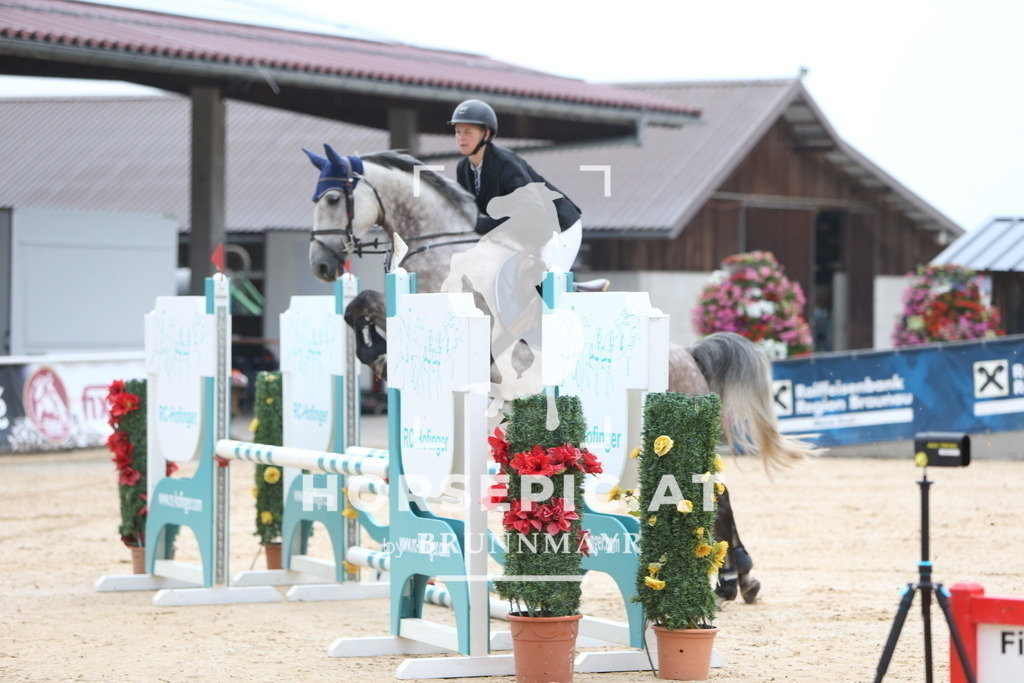 DL2Q5451 | Willkommen bei Brunnmayr - Design & Fotografie – Ihrem Spezialisten für Reitturniere und Pferdeveranstaltungen in Oberösterreich, Salzburg und Bayern! Seit über 17 Jahren sind wir leidenschaftlich dabei.
