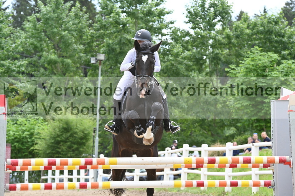 DSC_8461 | equestrian-live-com