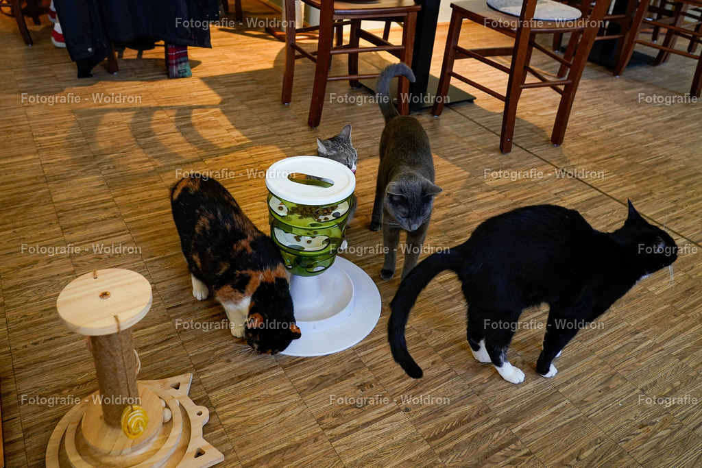 20230403 Nürnberg-32 | Fotografie Woldron