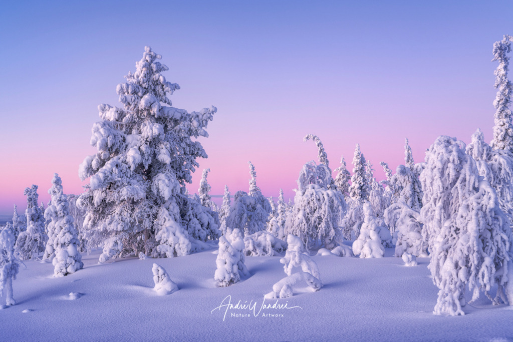 Winterpoesie | Andre Wandrei - Nature Artworx - Realisiert mit Pictrs.com