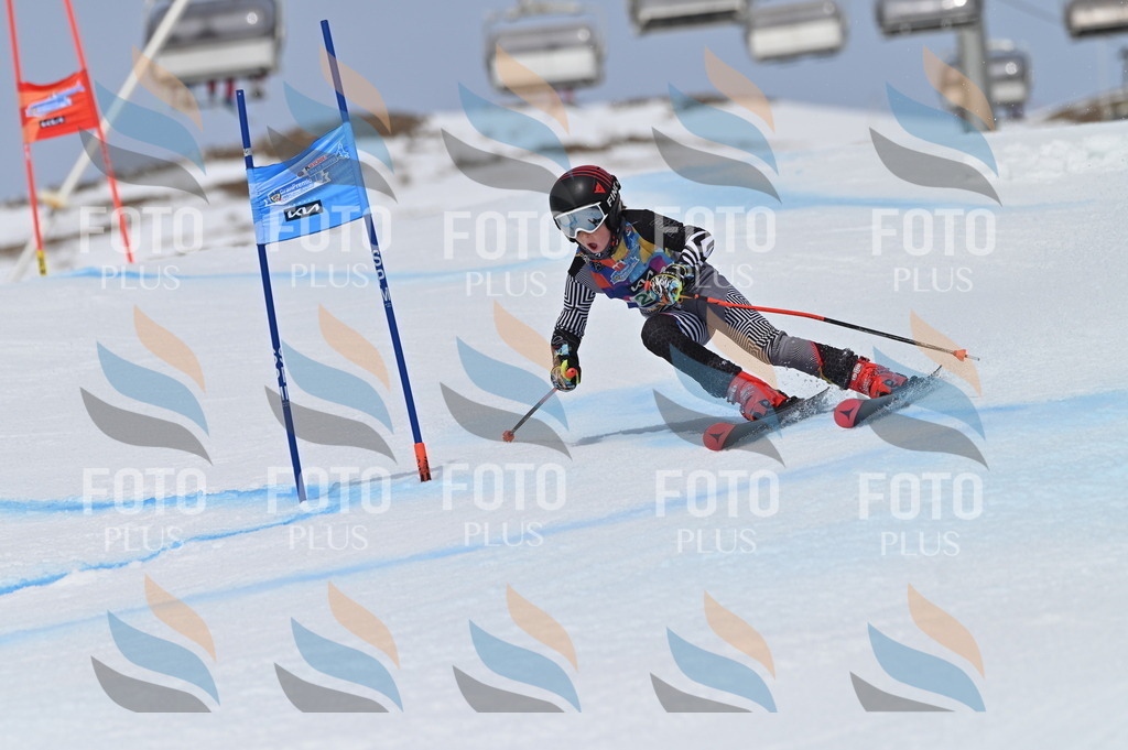 BGV_4641 | holidayphoto