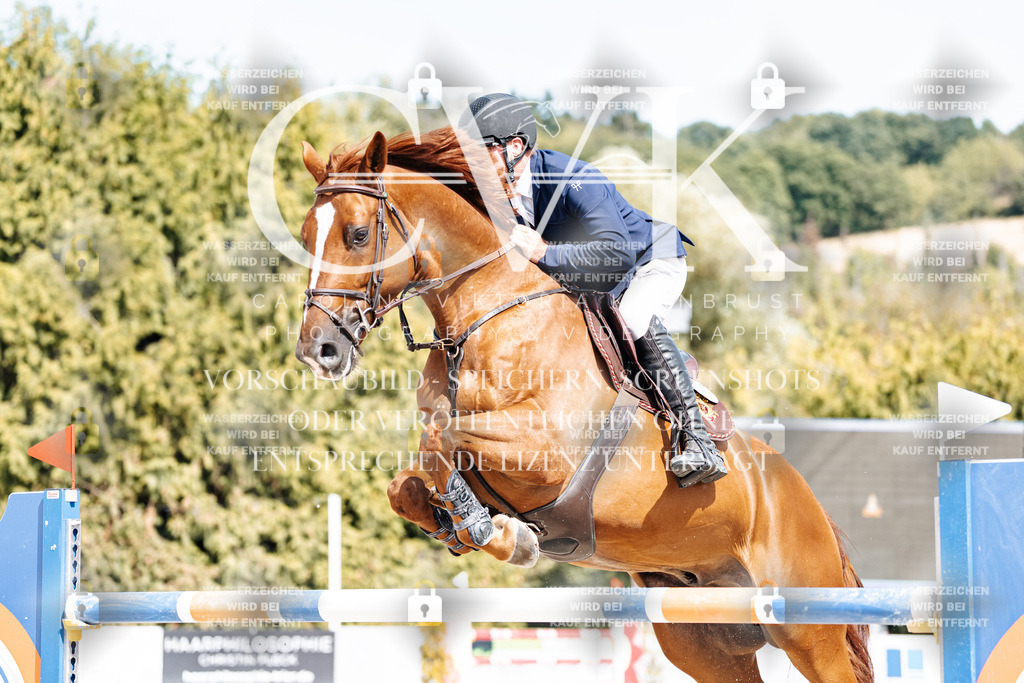 CK905359 | Turnierfotografie Pferdefotografie Trier Rheinland-Pfalz Pferdesport Reitsport Tierfotografie Sportfotografie Pferdevideo Pferdevideografie Equestrianvideography equestrianphotography  - Realisiert mit Pictrs.com